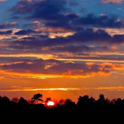 鸭脖app下载鸭脖官网截图